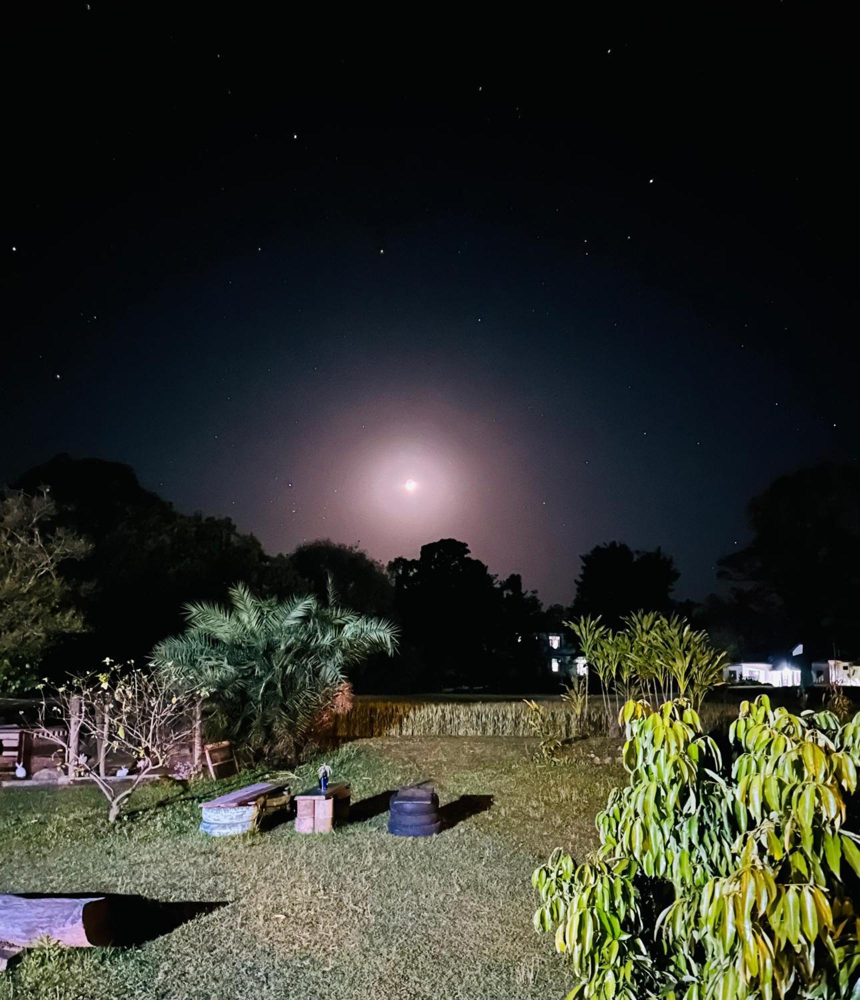 Hostel Dreamwoods A Travellers Farm Dharamshala Exterior foto