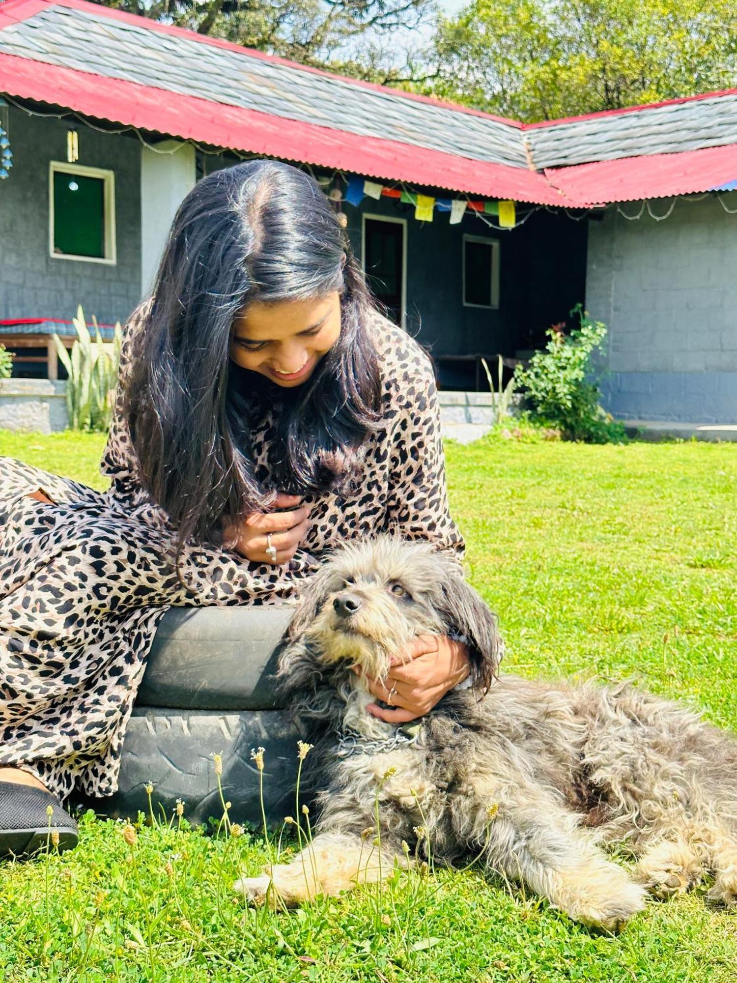 Hostel Dreamwoods A Travellers Farm Dharamshala Exterior foto